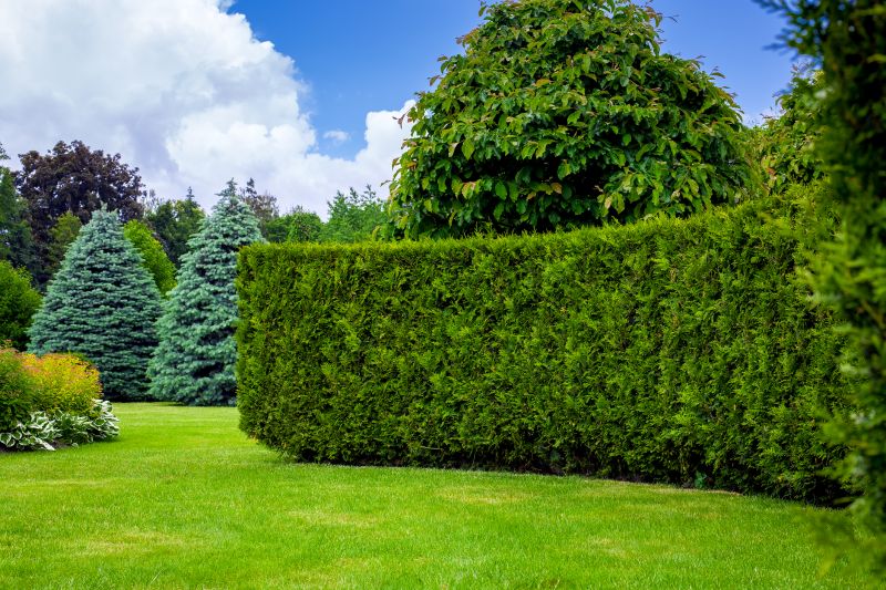 Hedge Installation in Honolulu, HI